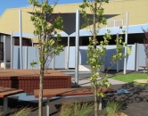 grovedale9