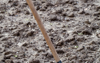 Shovel in Mud